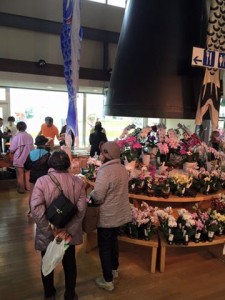 13087590_761831950585697_7972445469048444777_n